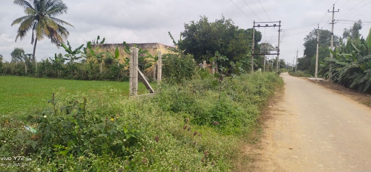 d8ed4841-86ca-4887-b89f-e41258f377df