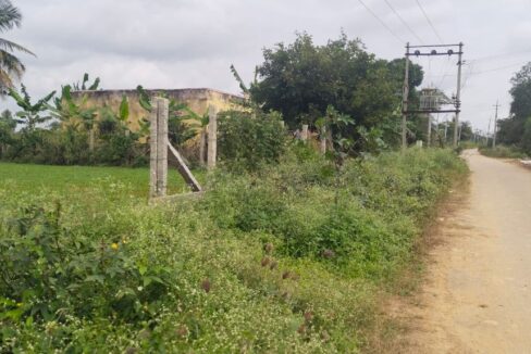 d8ed4841-86ca-4887-b89f-e41258f377df