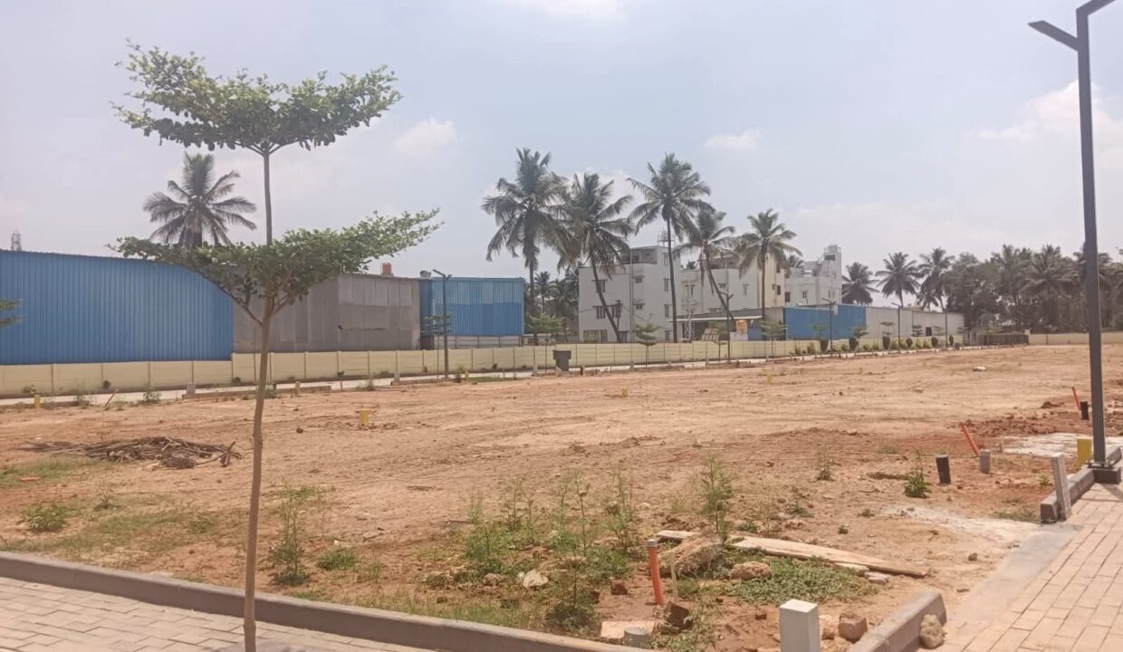 WhatsApp Image 2026-05-23 at 6.31.05 PM (1)