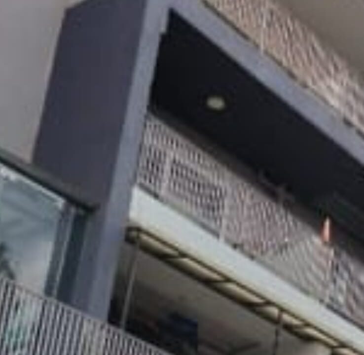 ds 10