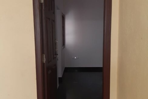kot 7