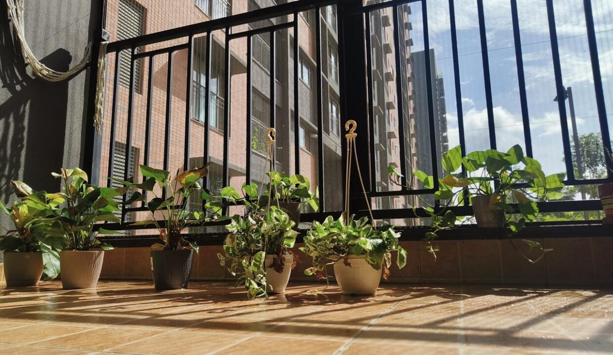 sobha 5