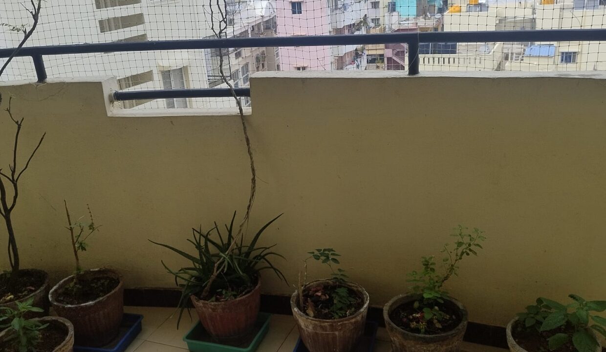 WhatsApp Image 2026-06-08 at 11.39.37 AM