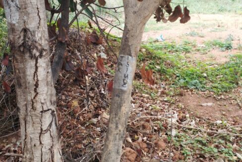 WhatsApp Image 2026-06-09 at 6.35.54 PM