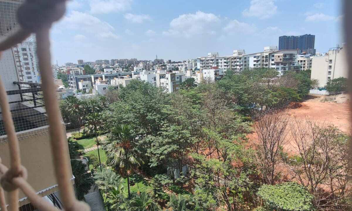 WhatsApp Image 2026-06-12 at 4.03.54 PM (1)