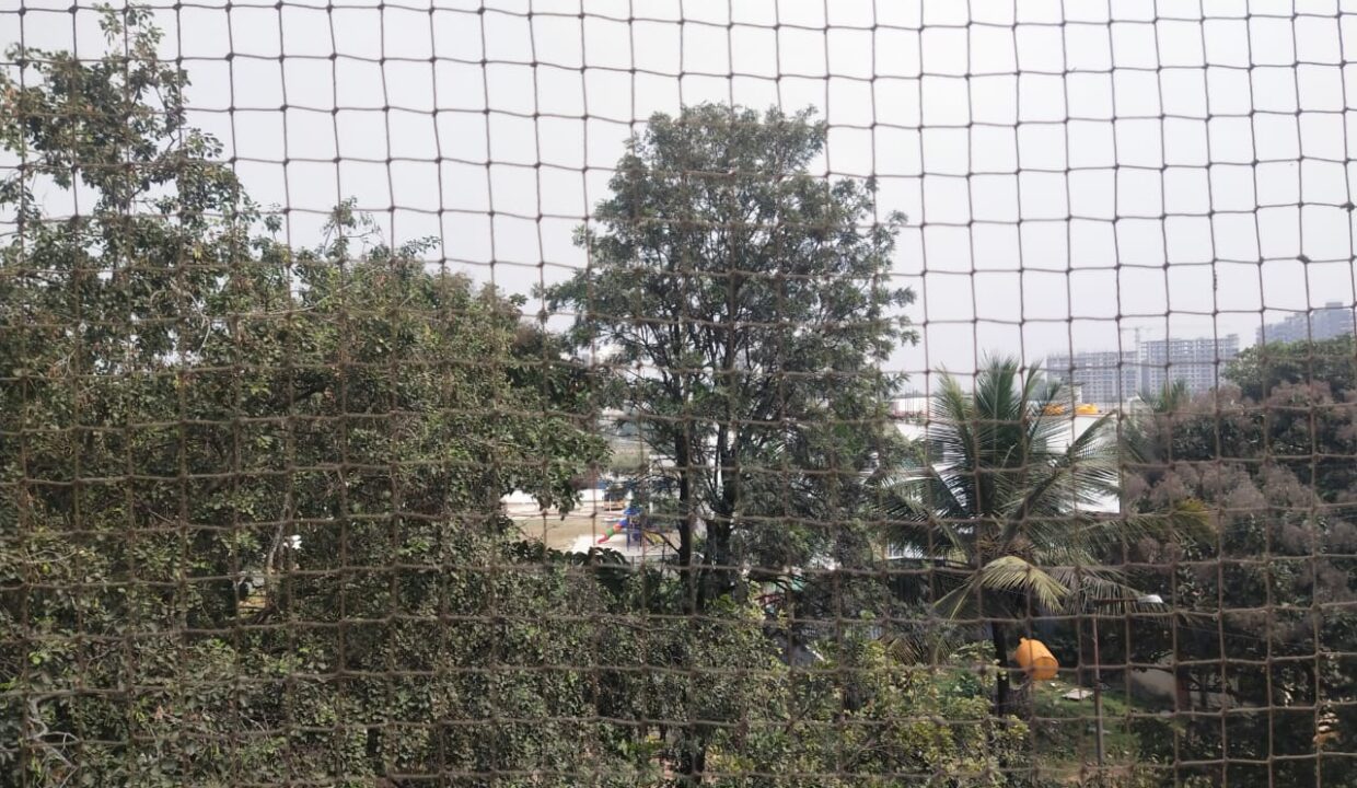 WhatsApp Image 2026-06-16 at 2.51.46 PM (1)