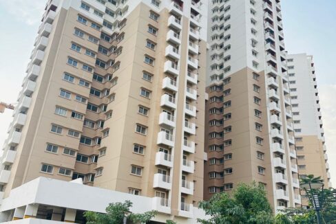 WhatsApp Image 2026-06-17 at 6.39.09 PM (1)