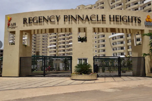 pinnacle re