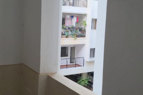 sree 7