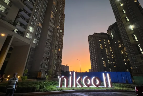 Nikoo 22