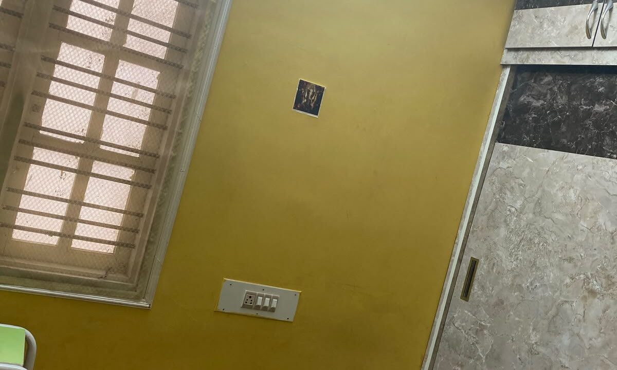 dee 7