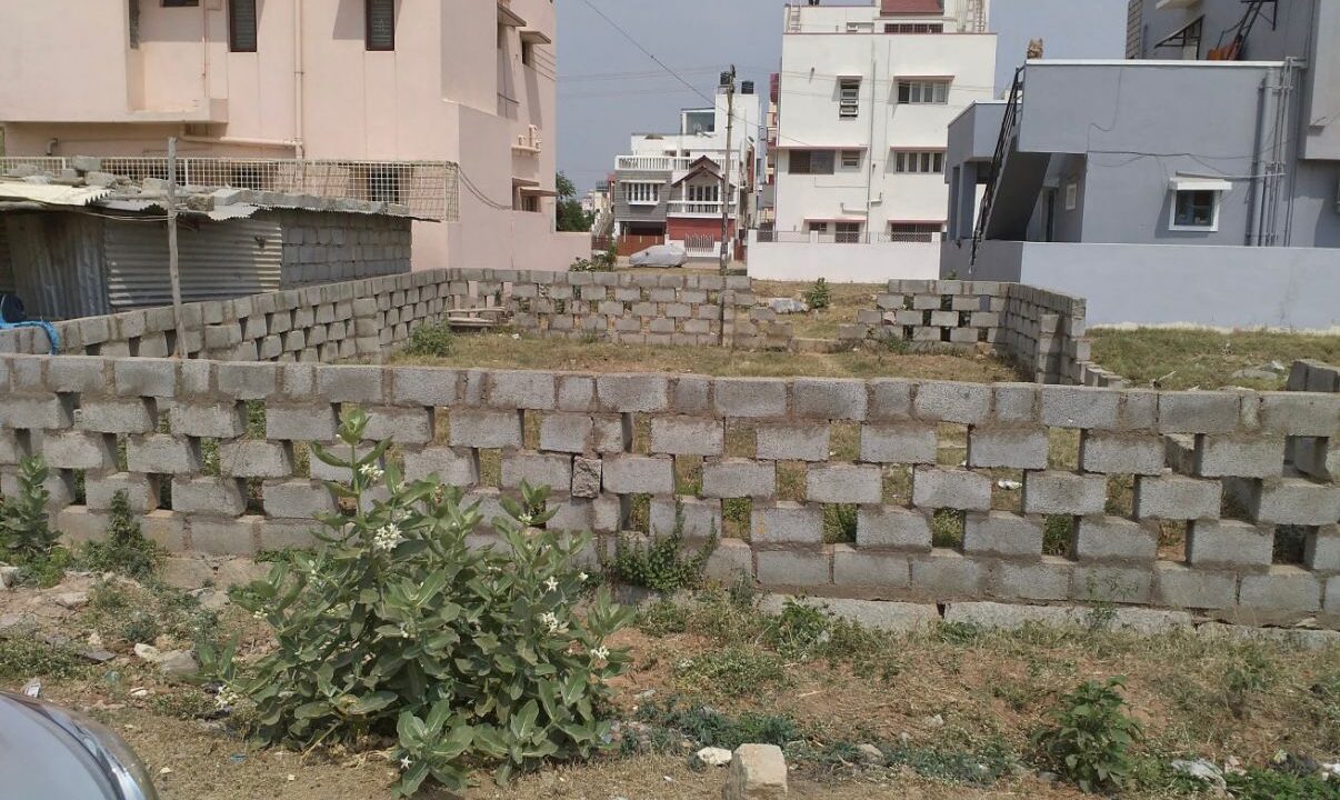 WhatsApp Image 2026-08-03 at 1.13.12 PM (2)