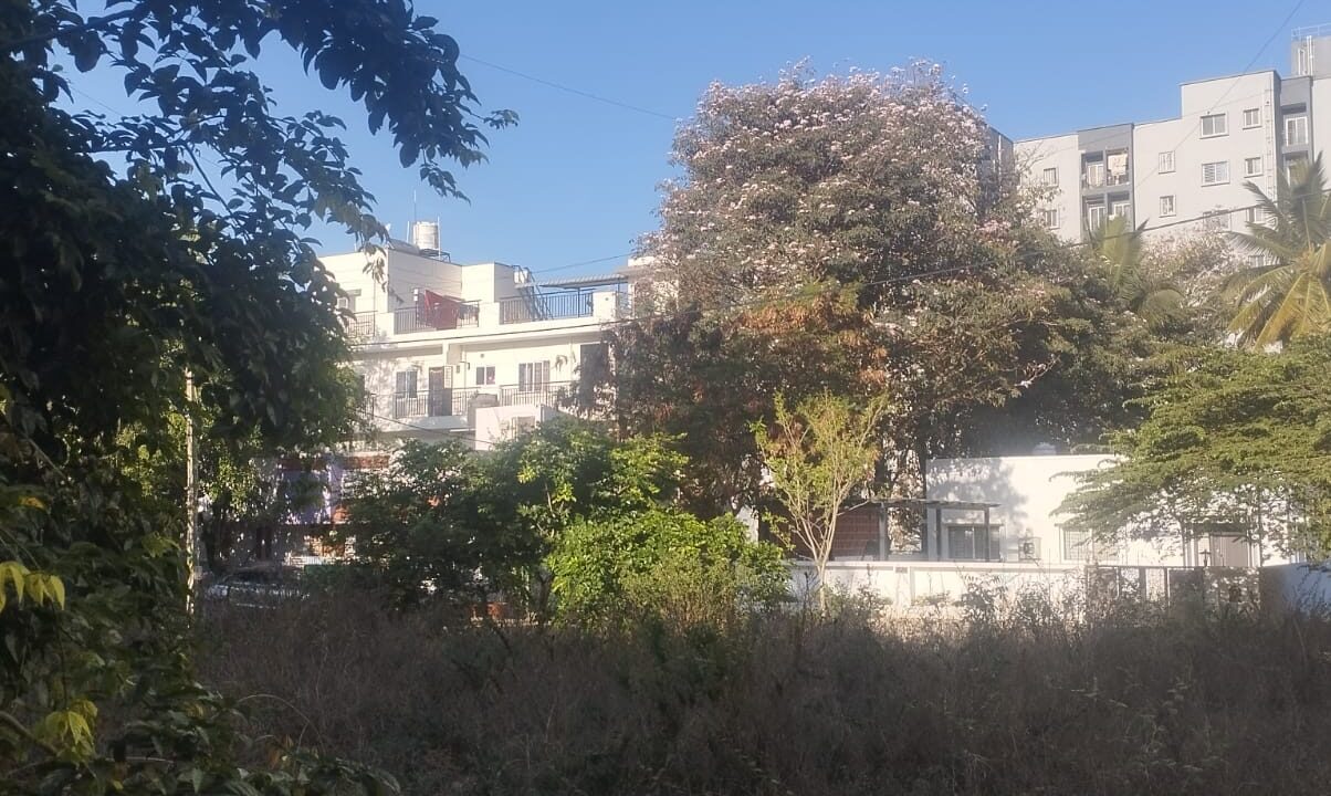 WhatsApp Image 2026-08-17 at 6.31.29 PM (1)