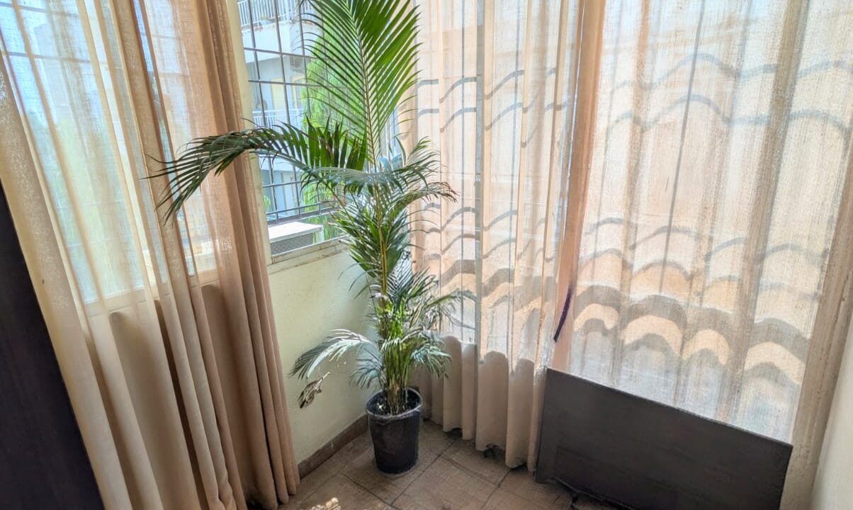 naya 2