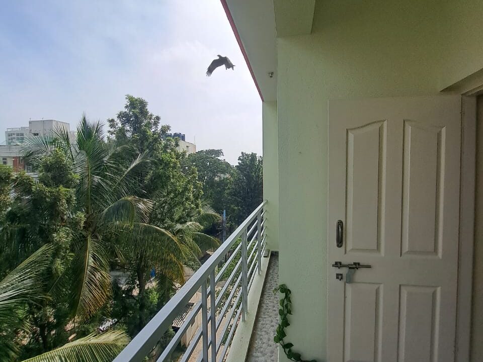 WhatsApp Image 2026-09-15 at 3.33.08 PM (2)