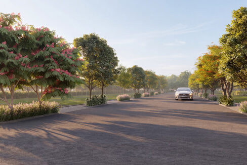 street-view-1