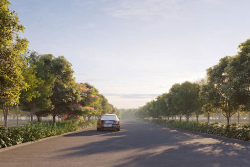 street-view-2