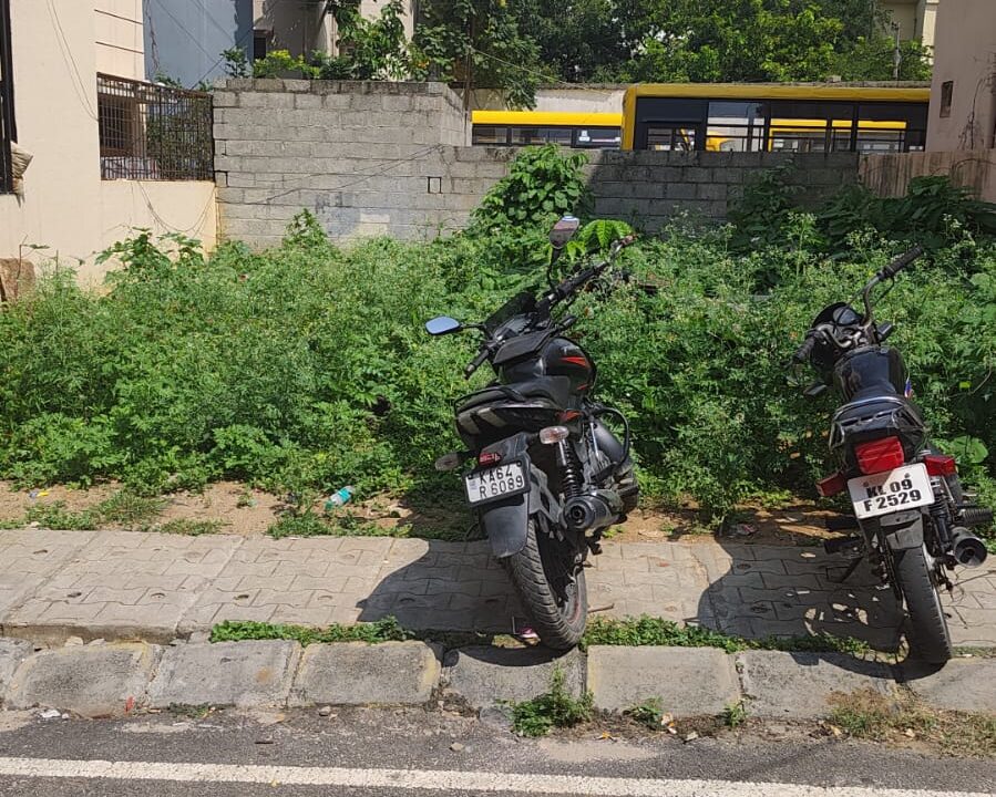 cmr